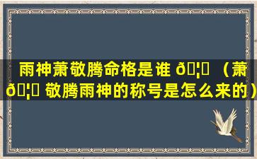 雨神萧敬腾命格是谁 🦋 （萧 🦅 敬腾雨神的称号是怎么来的）